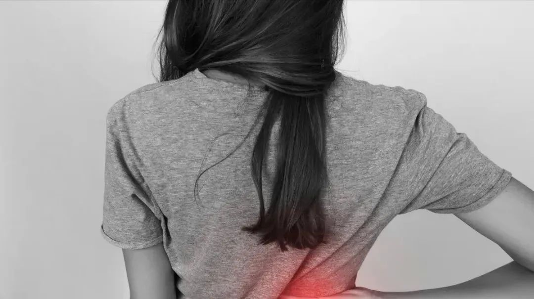 1685581642765329.jpg 640.jpg