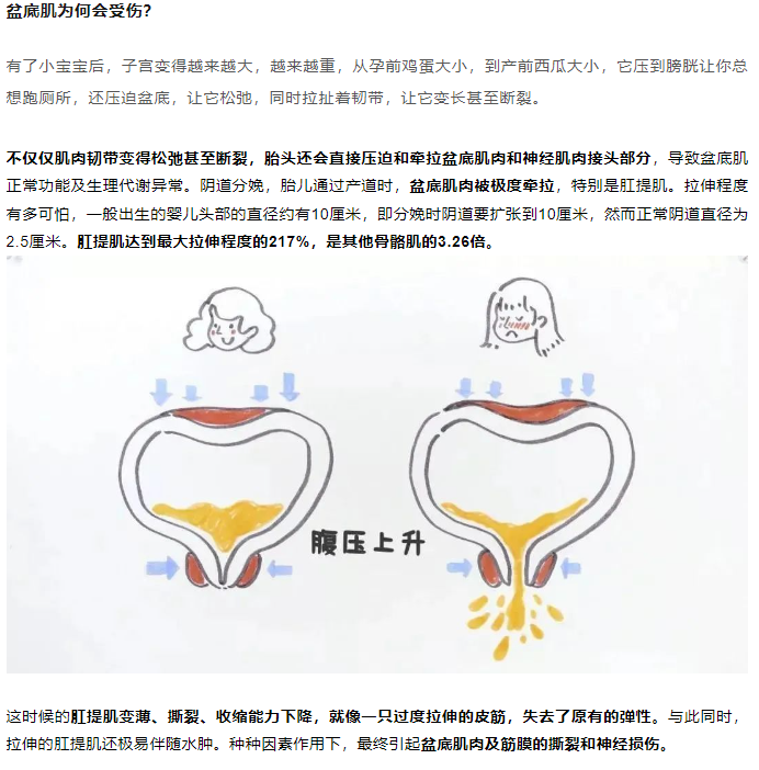 1708736921745598.png image.png