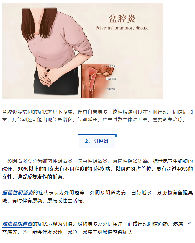 1730449637679219.png image.png